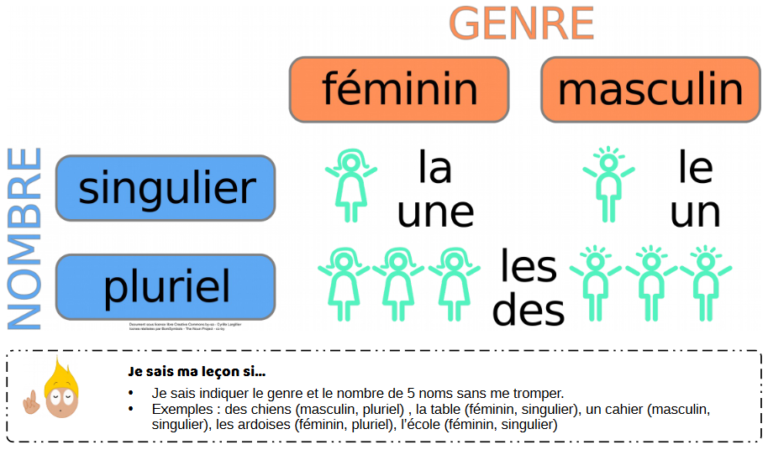 Genre Et Nombre – École Primaire É. Et C. Freinet